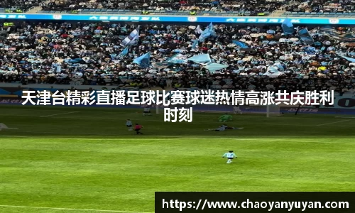 天津台精彩直播足球比赛球迷热情高涨共庆胜利时刻