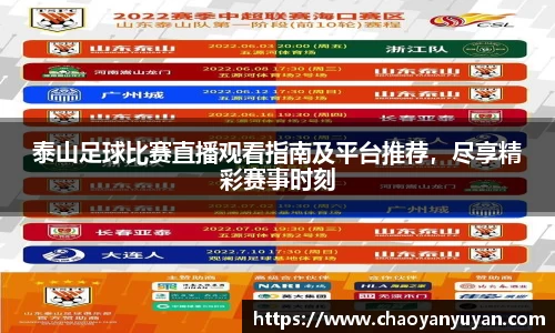 泰山足球比赛直播观看指南及平台推荐，尽享精彩赛事时刻
