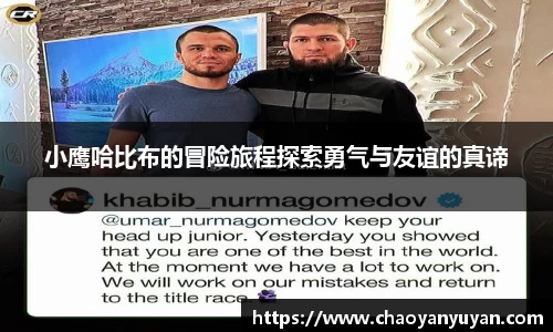 小鹰哈比布的冒险旅程探索勇气与友谊的真谛