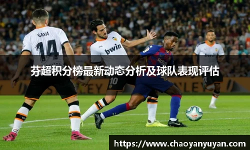芬超积分榜最新动态分析及球队表现评估
